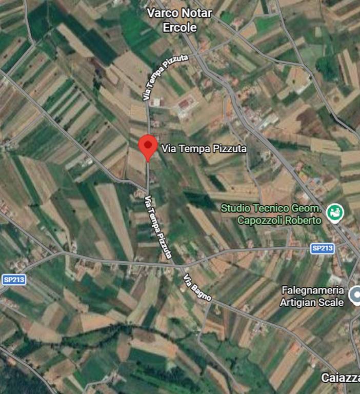 immagine annuncio 5 di 13