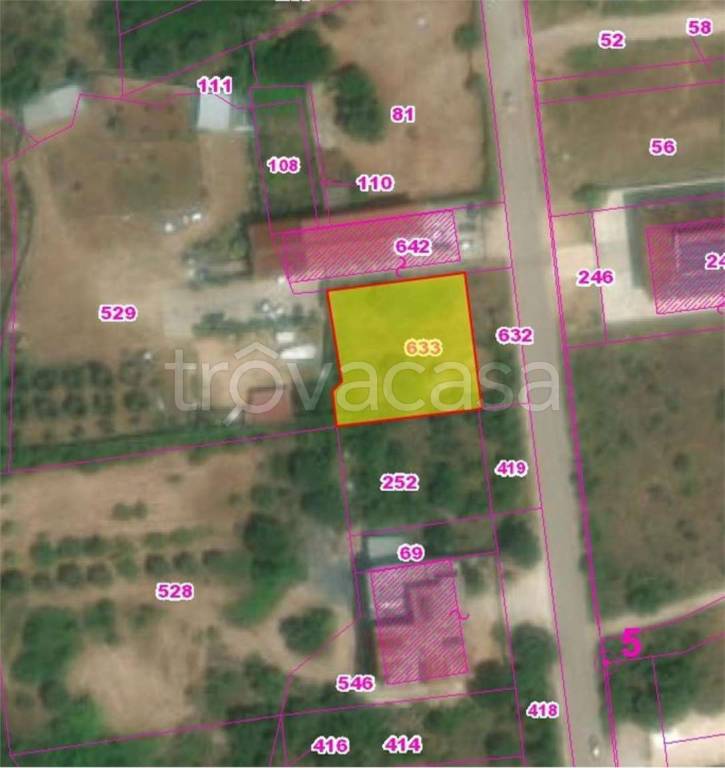 immagine annuncio 2 di 12