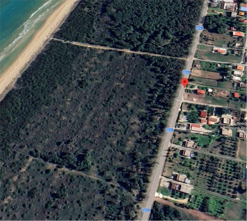 immagine annuncio 6 di 12