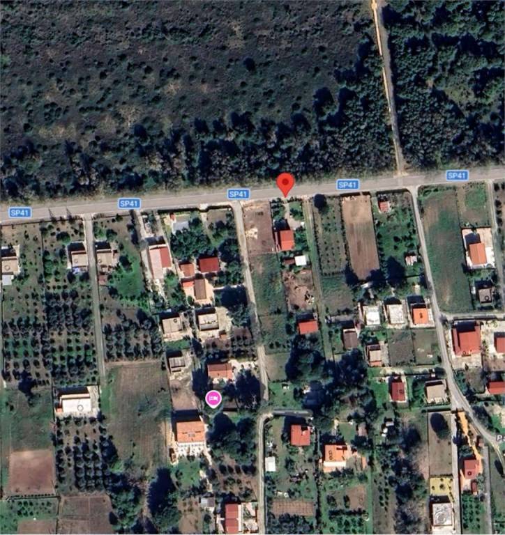 immagine annuncio 11 di 12