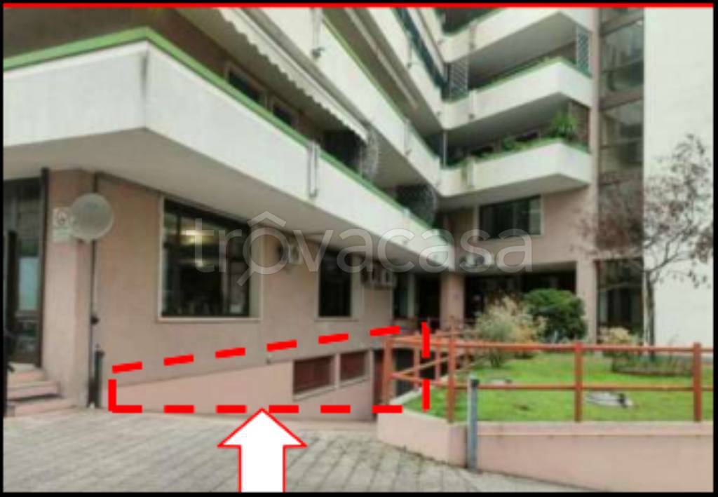 immagine annuncio 1 di 12