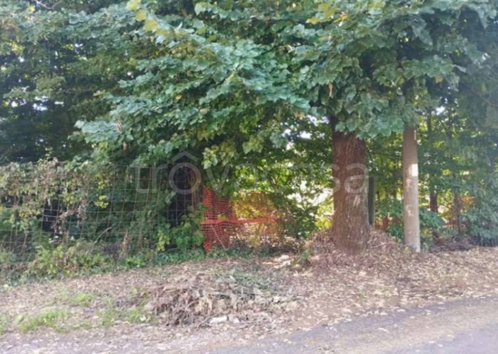 immagine annuncio 3 di 11