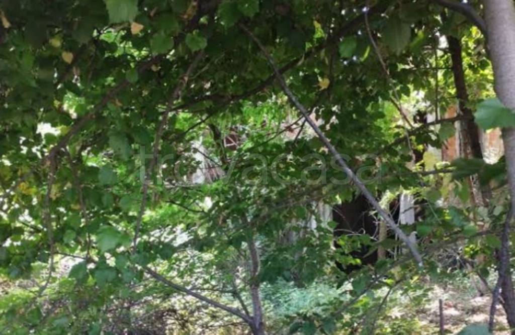 immagine annuncio 5 di 11