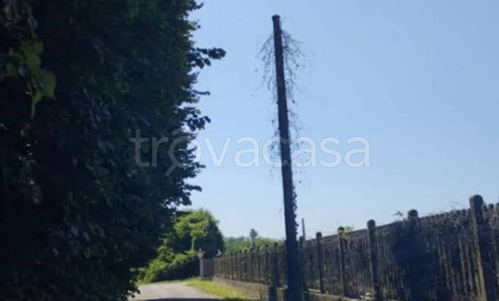 immagine annuncio 7 di 11