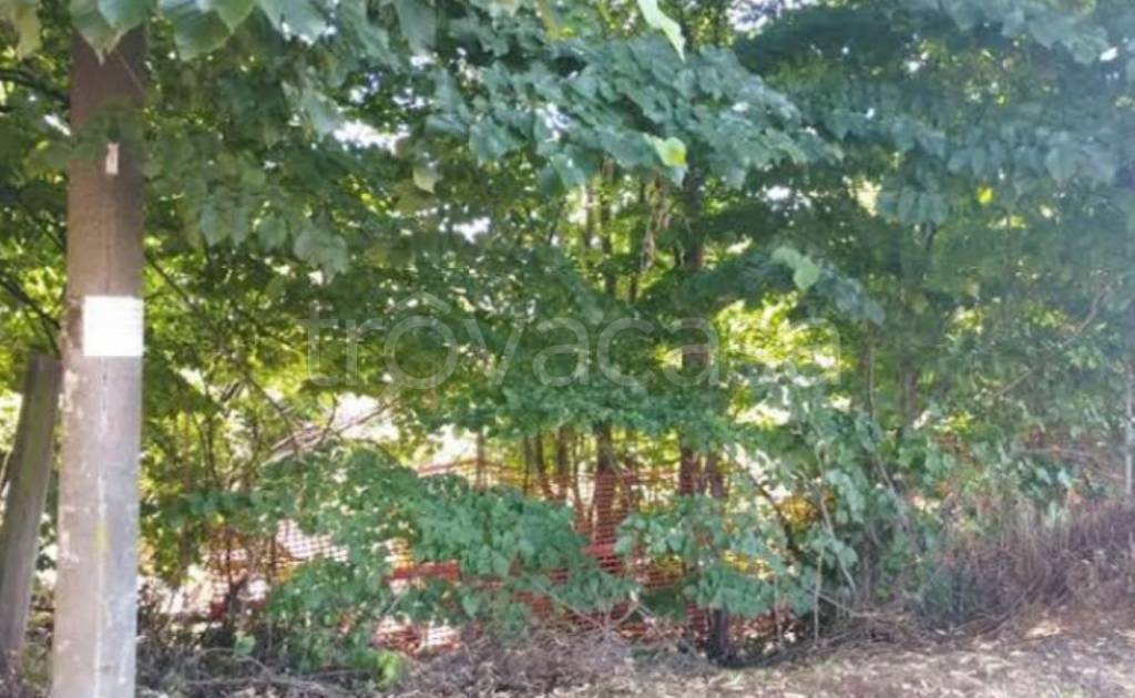 immagine annuncio 8 di 11