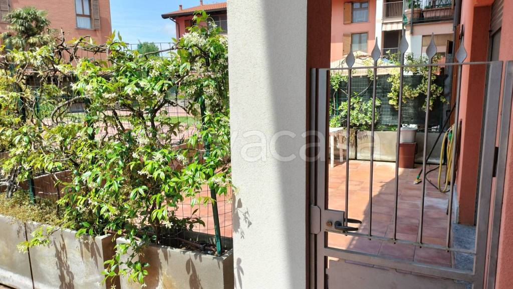 immagine annuncio 10 di 15