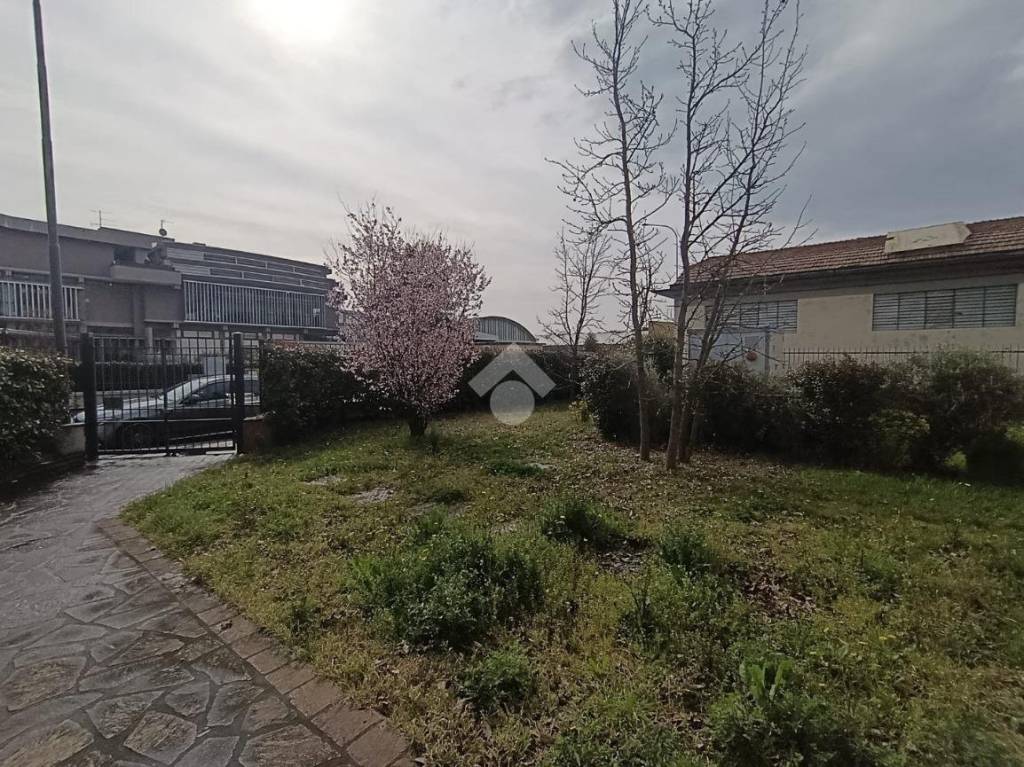 immagine annuncio 1 di 15