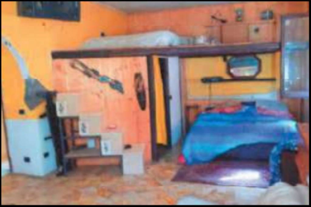 immagine annuncio 3 di 14