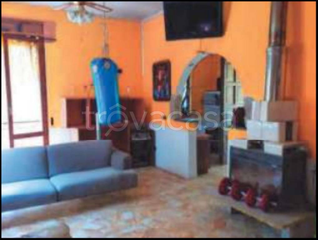 immagine annuncio 4 di 14