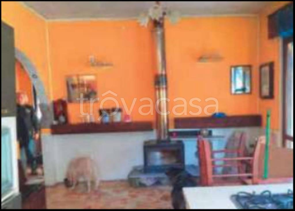 immagine annuncio 5 di 14