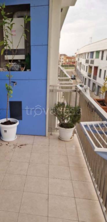 immagine annuncio 7 di 8