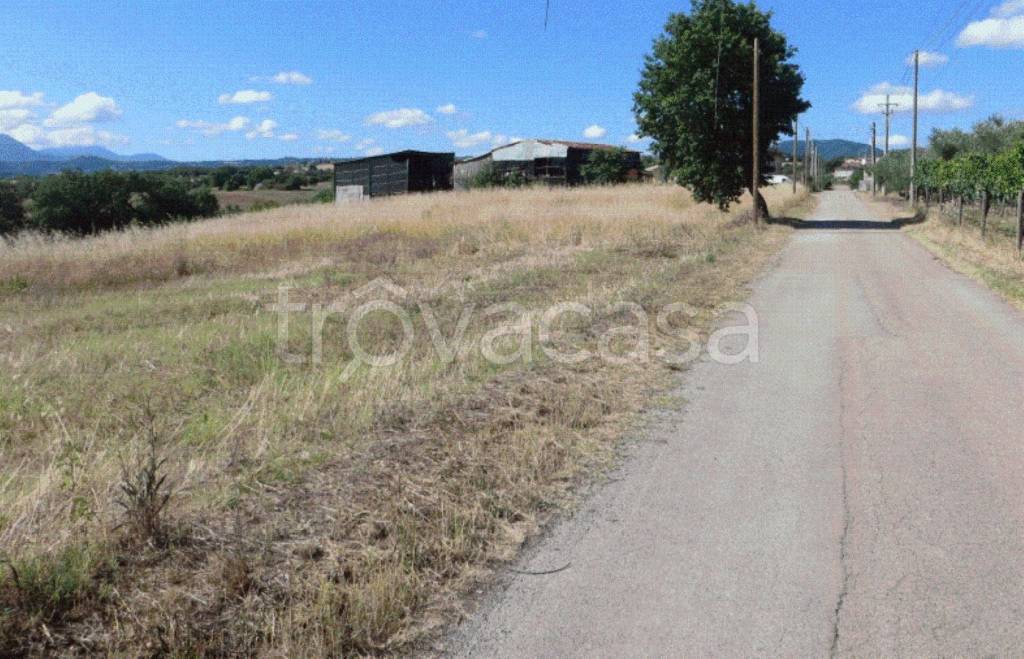 immagine annuncio 2 di 7