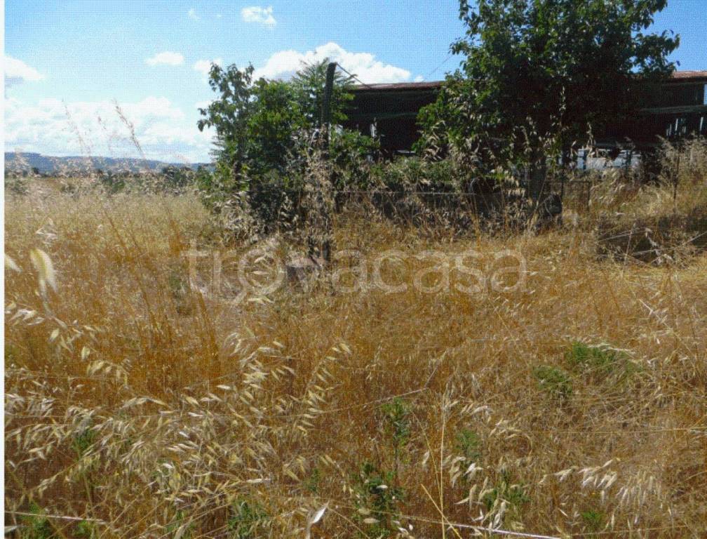 immagine annuncio 4 di 7