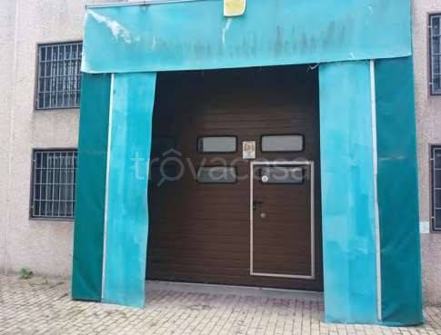 immagine annuncio 13 di 15