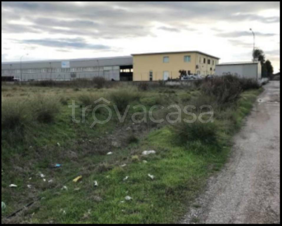 immagine annuncio 2 di 12