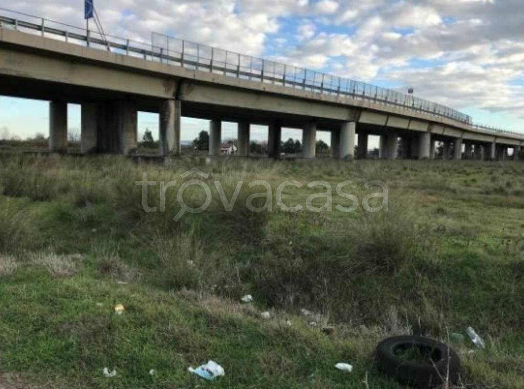 immagine annuncio 2 di 11