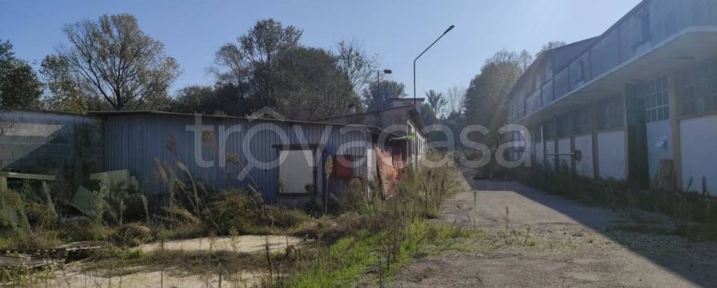 immagine annuncio 4 di 9