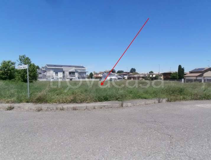 immagine annuncio 8 di 15