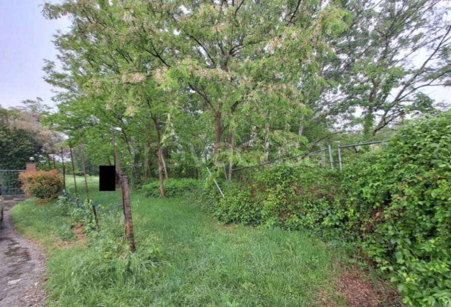 immagine annuncio 2 di 7