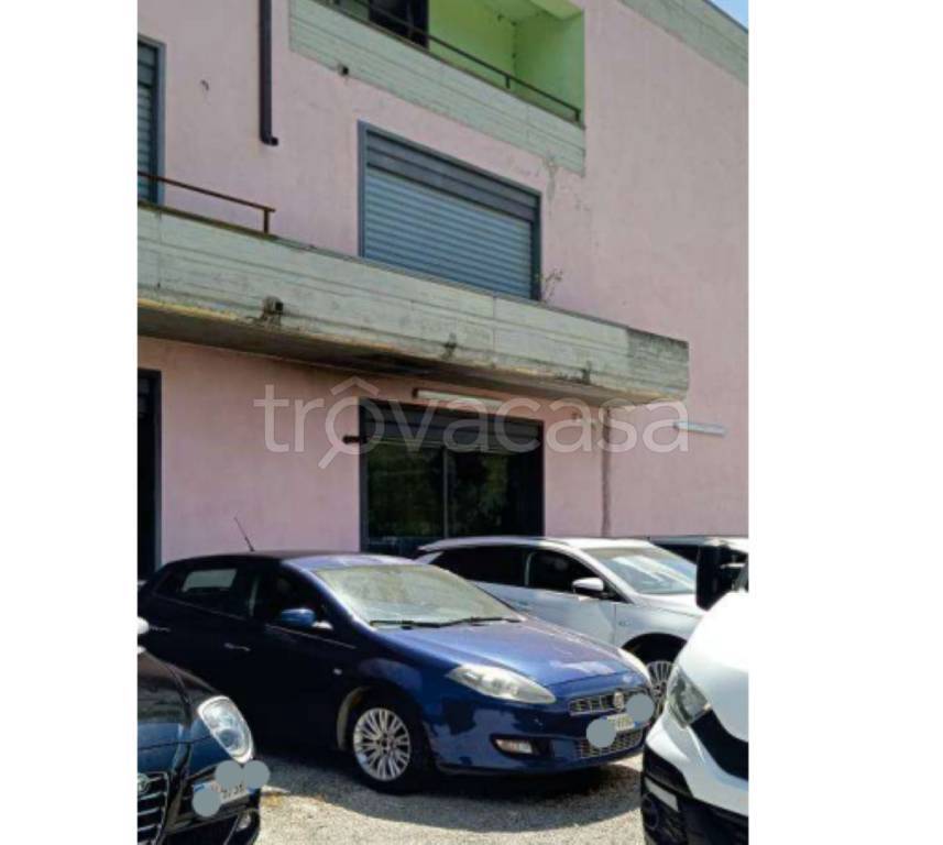 immagine annuncio 2 di 11