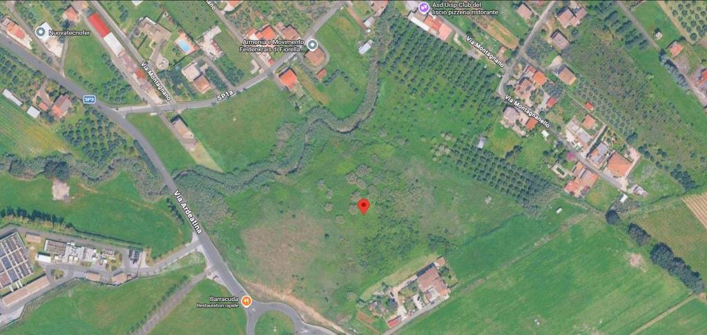 immagine annuncio 10 di 11