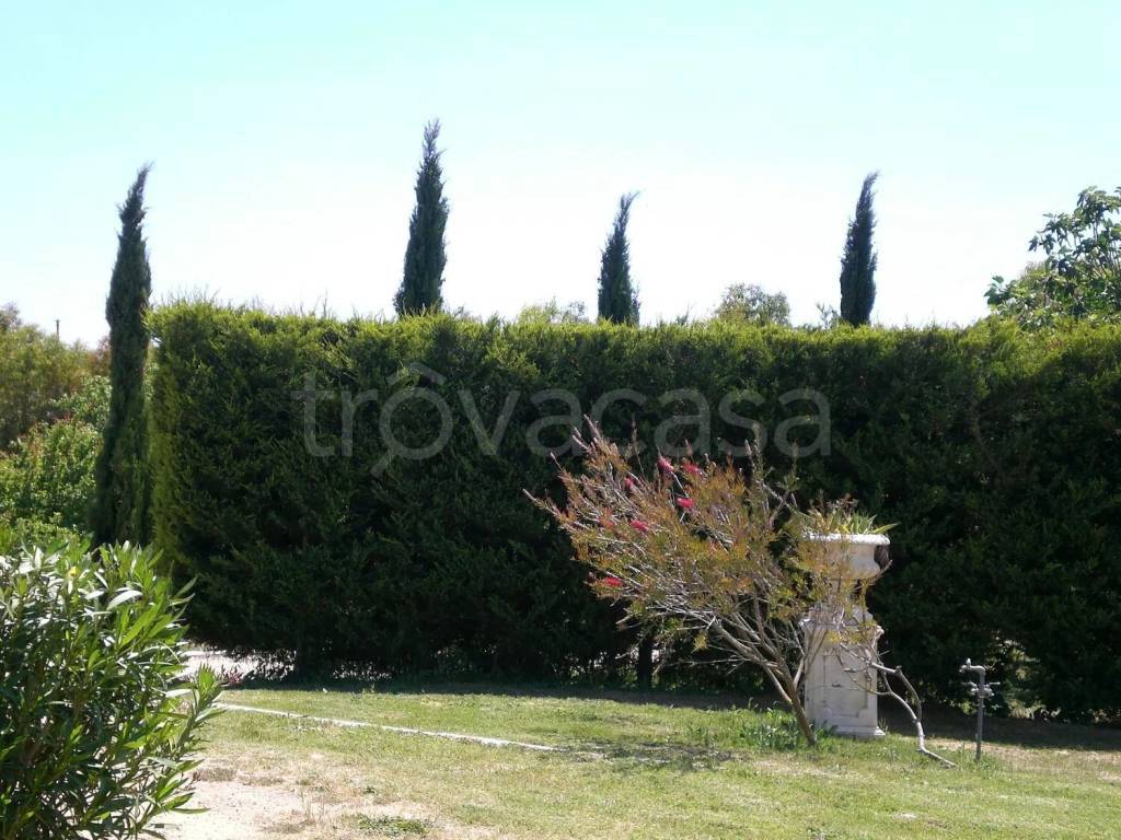 immagine annuncio 6 di 14
