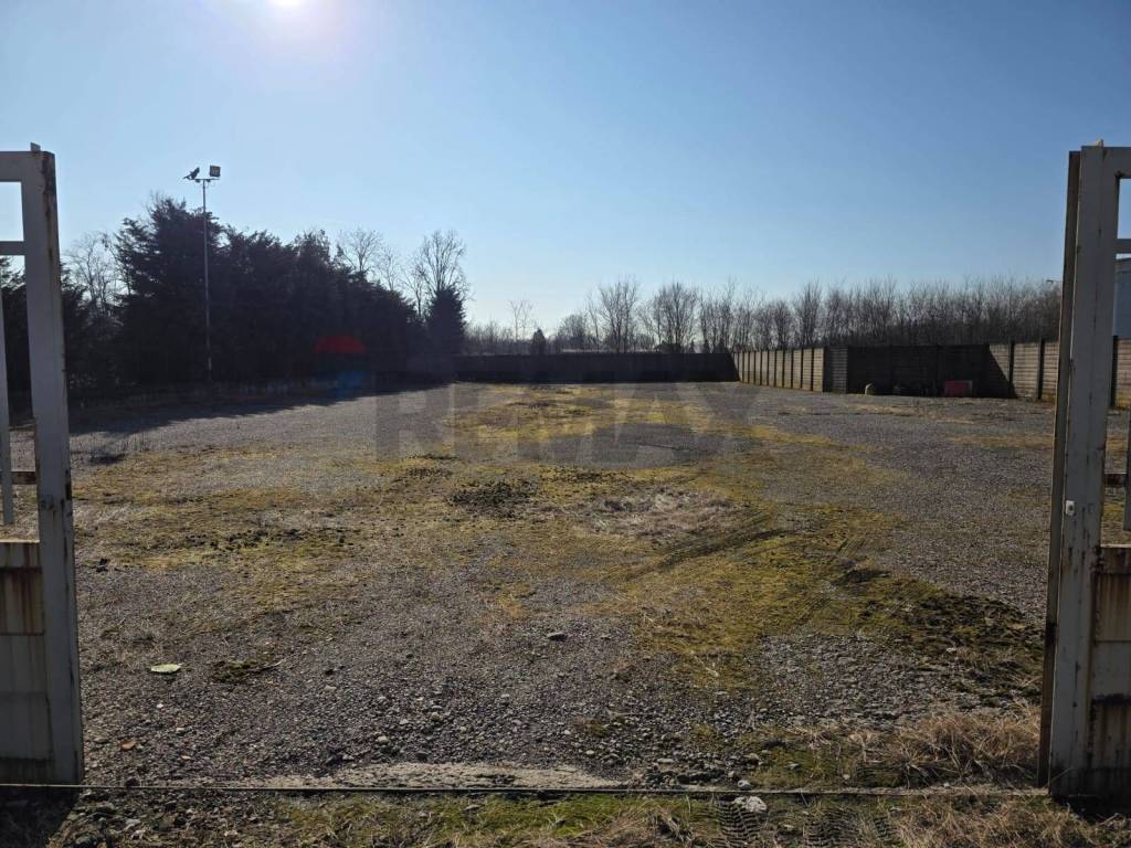 immagine annuncio 2 di 8