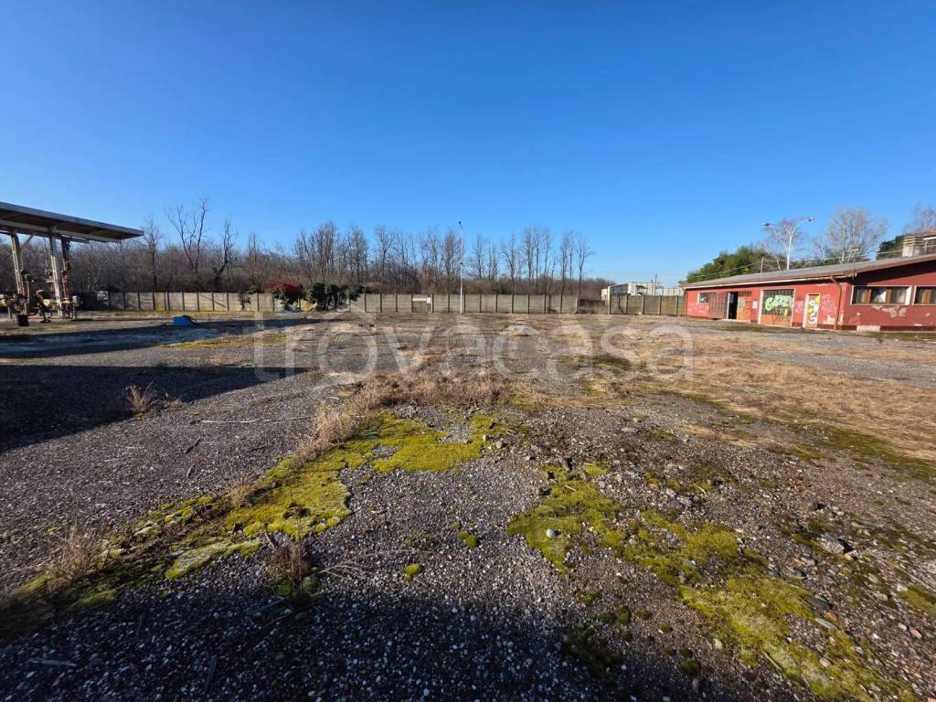 immagine annuncio 6 di 8