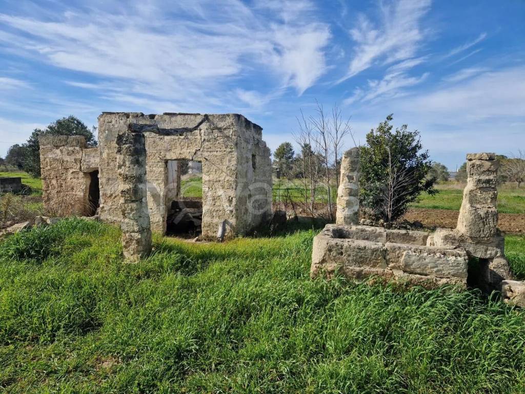 immagine annuncio 1 di 7