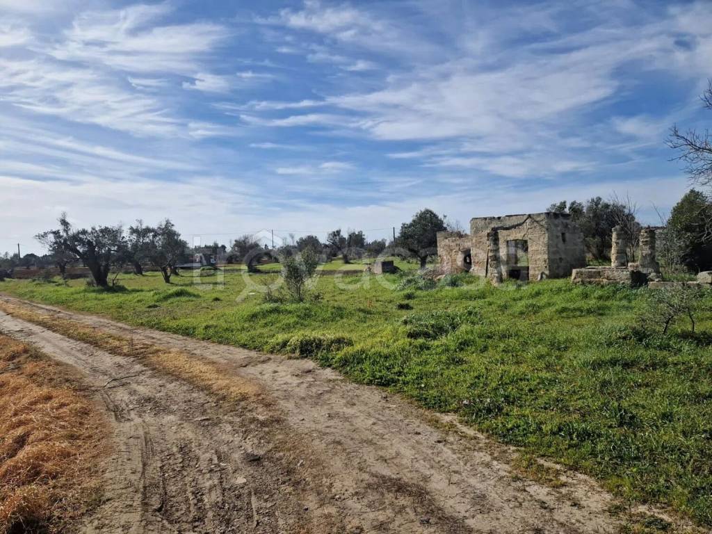 immagine annuncio 2 di 7