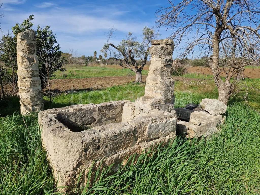 immagine annuncio 3 di 7