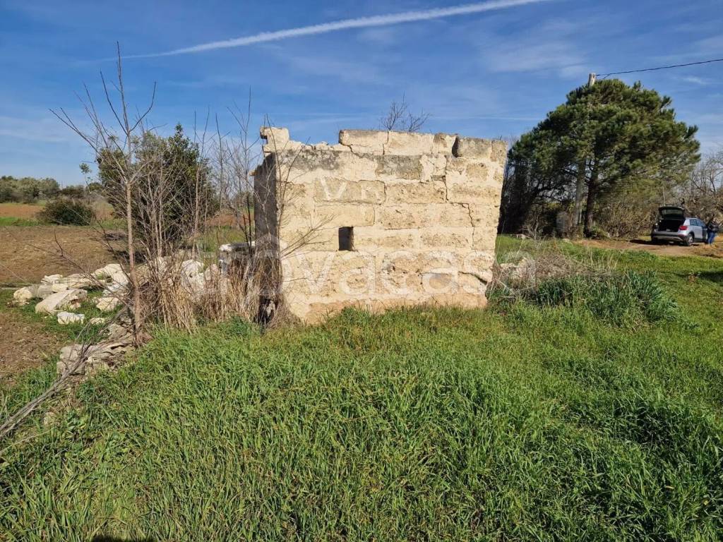 immagine annuncio 4 di 7