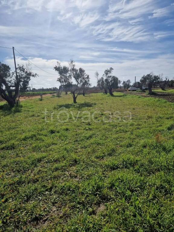 immagine annuncio 6 di 7