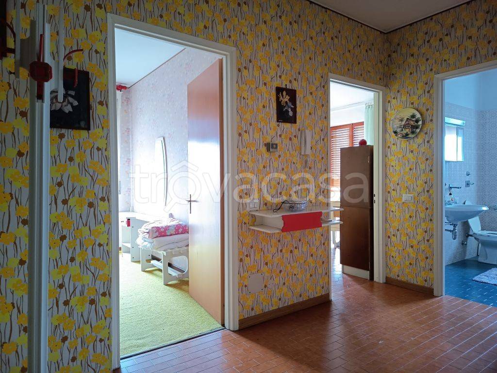 immagine annuncio 7 di 14