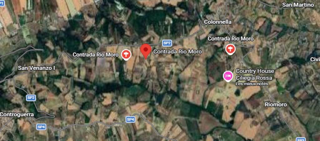 immagine annuncio 4 di 9