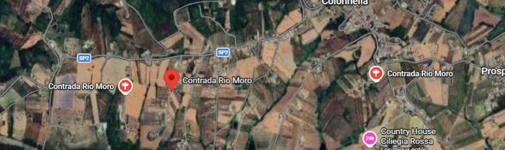 immagine annuncio 5 di 9