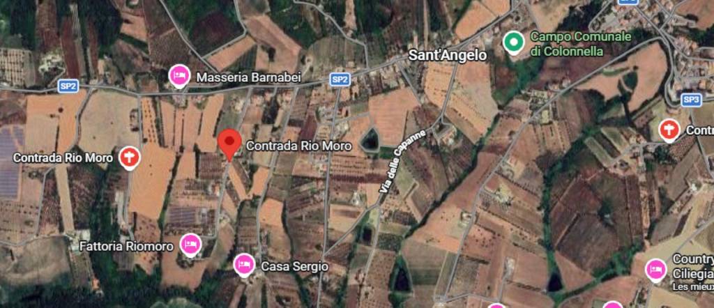 immagine annuncio 6 di 9