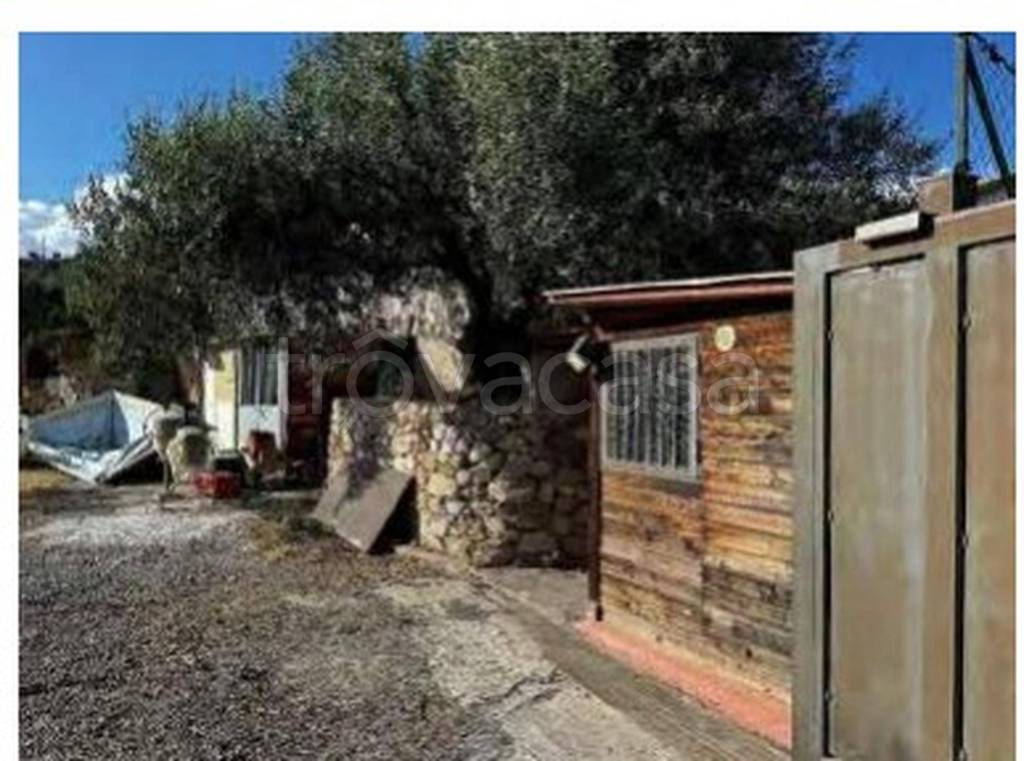 immagine annuncio 8 di 13