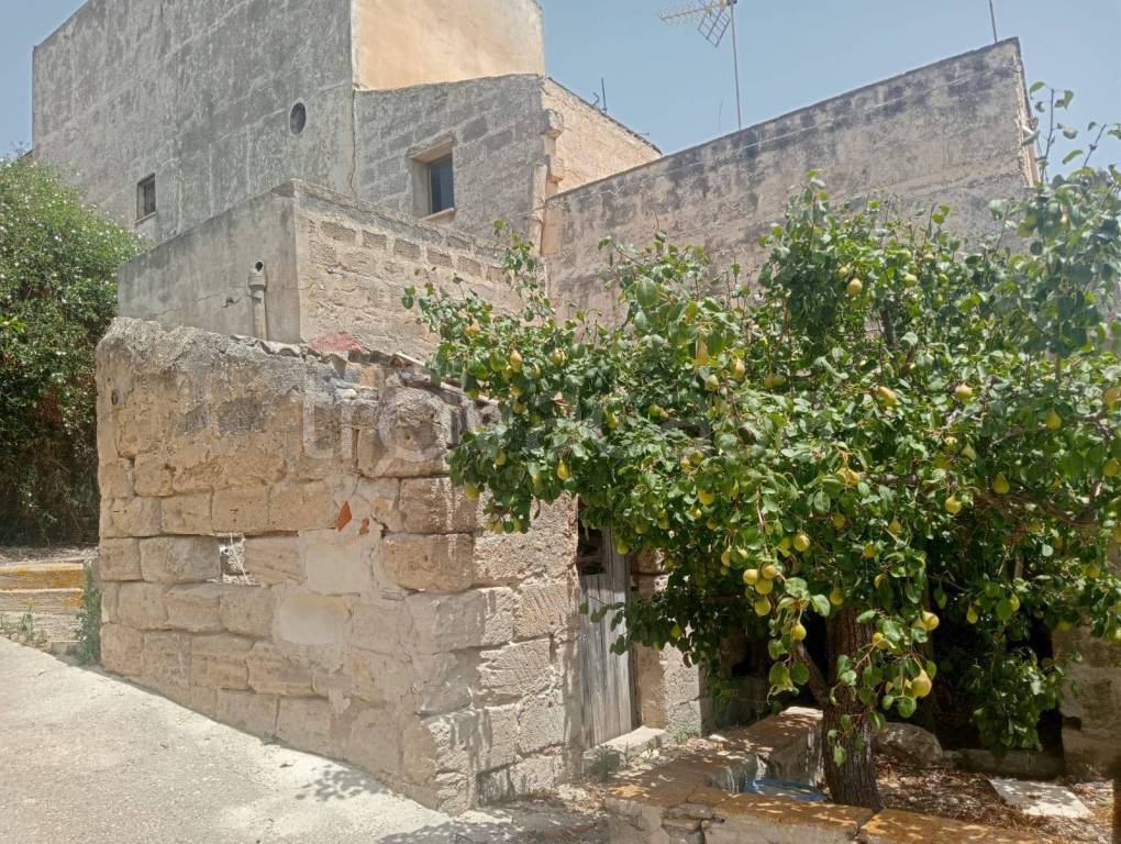 immagine annuncio 4 di 14