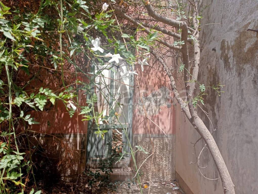 immagine annuncio 5 di 14