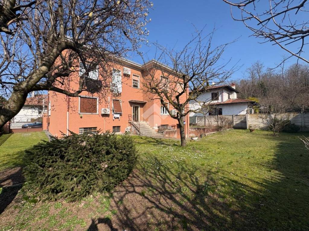 immagine annuncio 7 di 15