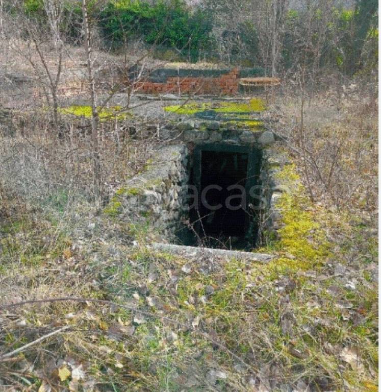 immagine annuncio 2 di 7