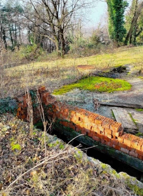 immagine annuncio 3 di 7