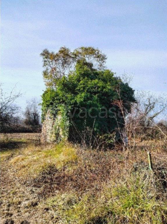 immagine annuncio 4 di 7