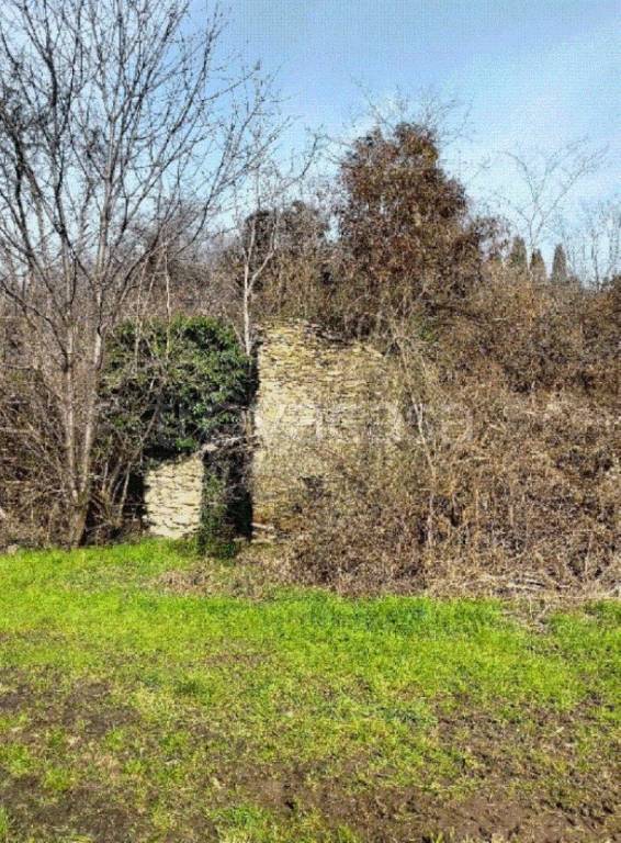 immagine annuncio 5 di 7