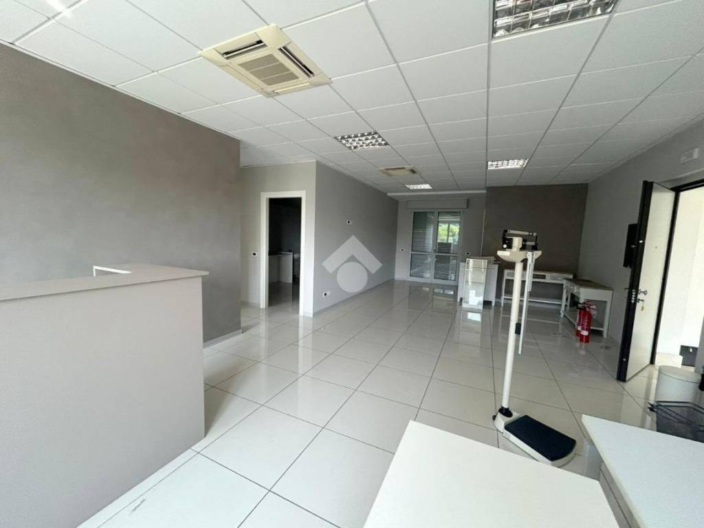 immagine annuncio 9 di 13