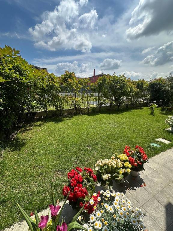 immagine annuncio 5 di 15