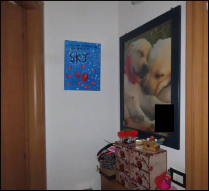 immagine annuncio 8 di 10