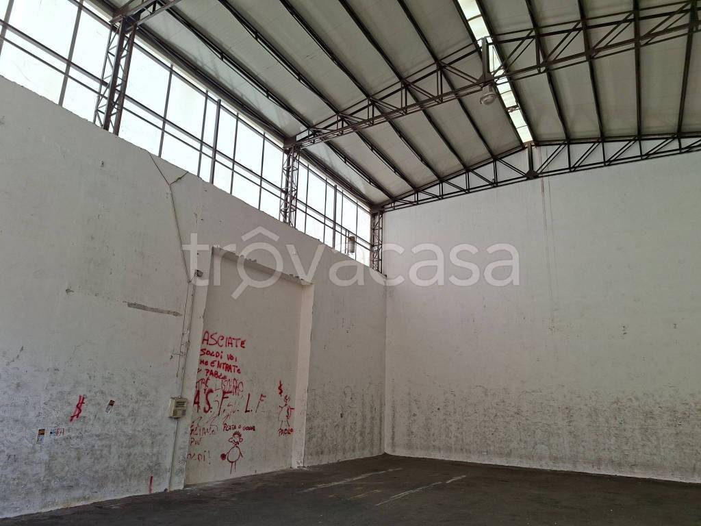 immagine annuncio 4 di 8