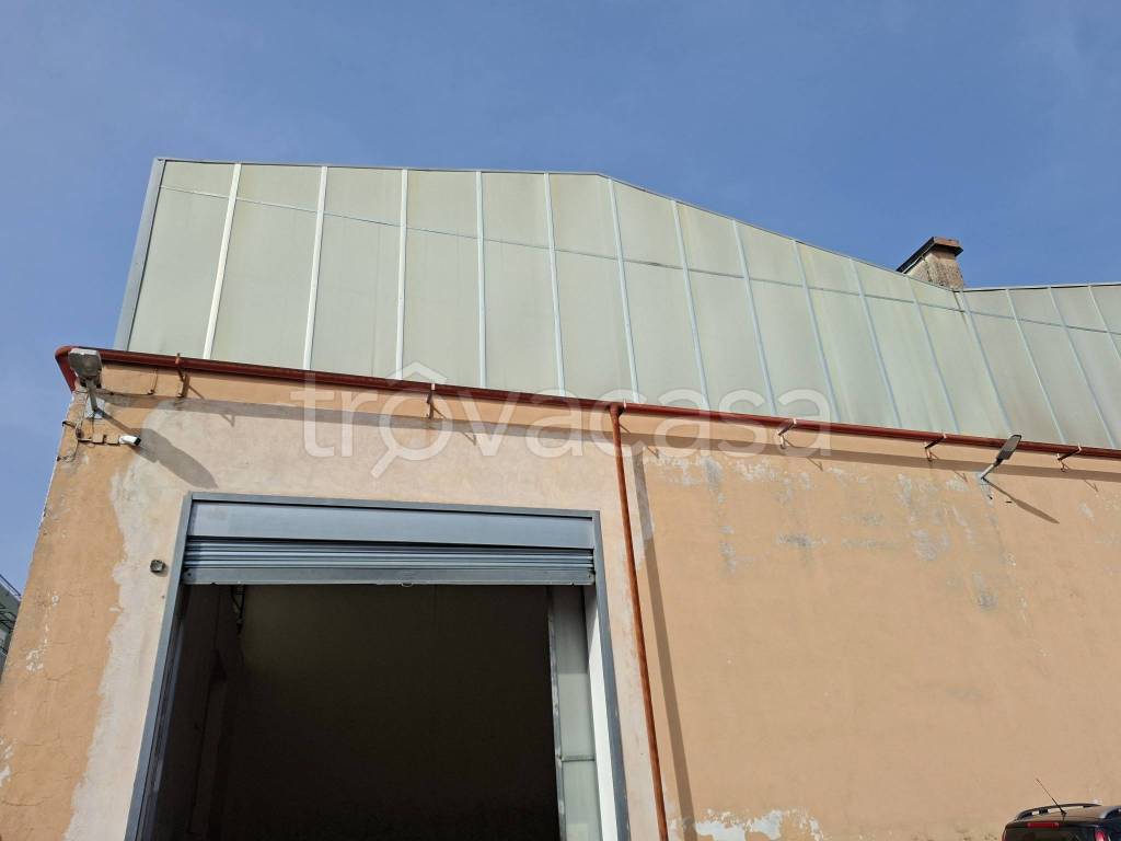 immagine annuncio 5 di 8